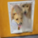 Teach & Help each other