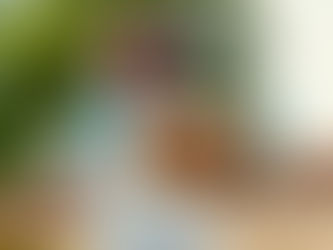 Mice Magazine - Het belang van de bijenkoningin en haar werkers met een gastronomische insteek. 