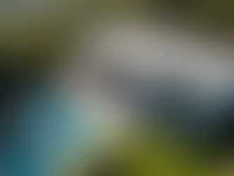 Discover the Latest Design Trends to Elevate Your Brand