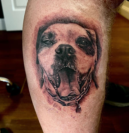 Fort Myers tattoo apprenticeship
