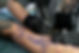 AdobeStock_508614566.jpeg