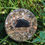 Miniature : orgonite shungites cristal de roche bouclier one