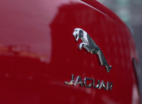 jaguar-ipace-jaguar-cars.gif