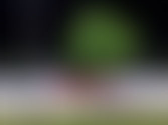 Let me introduce myself