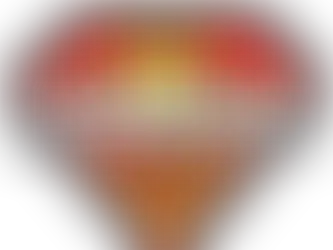 Sontag Speed Supplies Logo