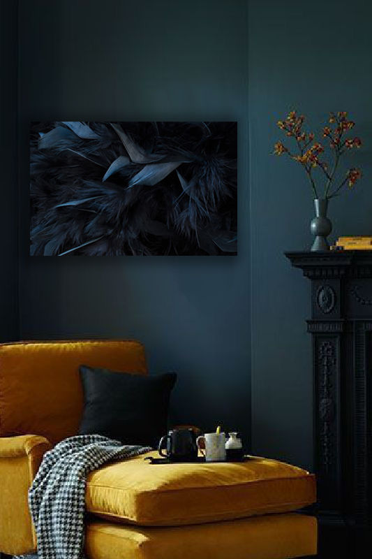 Thumbnail: Black Feathers