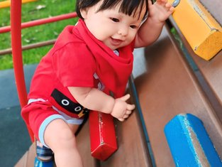 Reborns: A arte realista que gera renda e rompe preconceitos