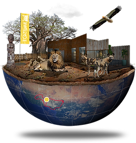 ecozone_afrique_small.png