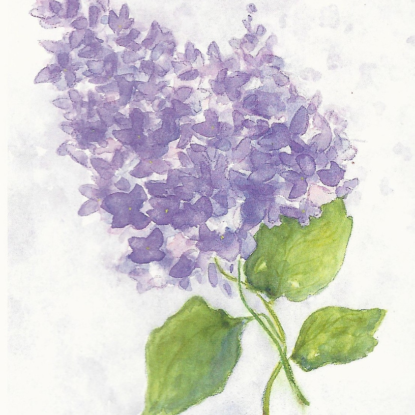 Watercolor with Mary Lou Peters