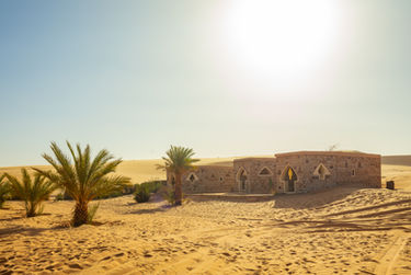 Chinguetti Crazy Puffin Tour Mauritania Adventures