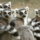 iStock-140100180.jpg