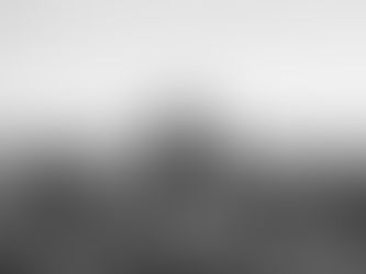 A Tale of Love and Surprise: The Unforgettable Mount Tamborine Gold Coast Marriage Proposal