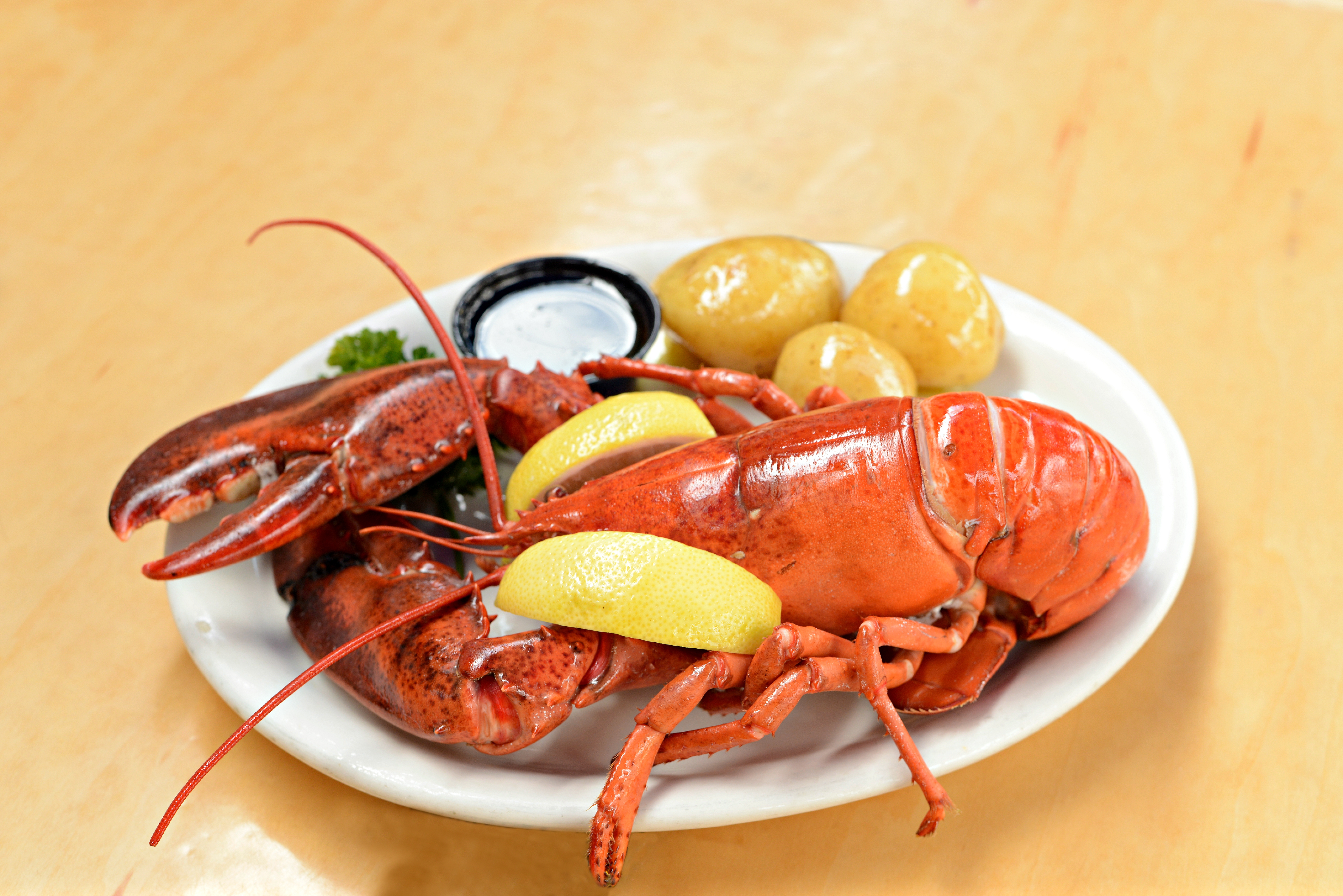 East Coast Lobster Roll