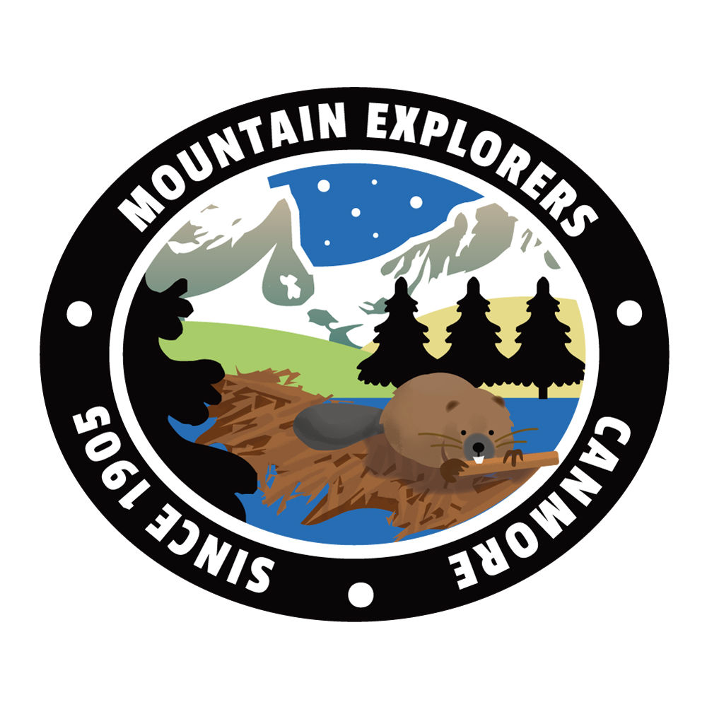 4. Canmore : Texture Coated Vinyl 20EA or Vinyl 40EA