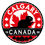 Thumbnail: 176. CALGARY : Texture Coated Vinyl  20EA or Vinyl 40EA