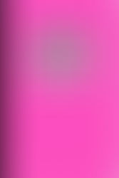 Buying Guide: Choosing The Right Wellness Records For Your Dogs