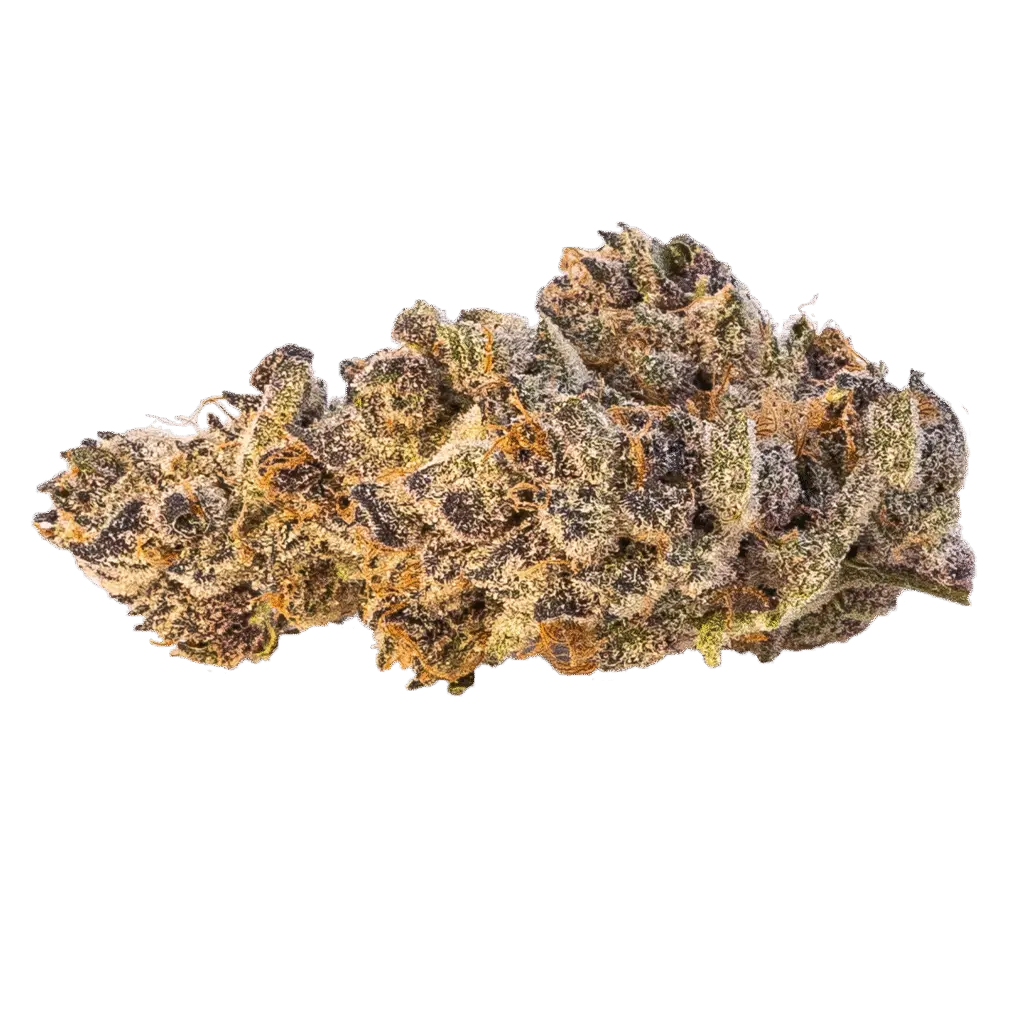 PURPLE POISON 28.9% (SUPREME INDICA)