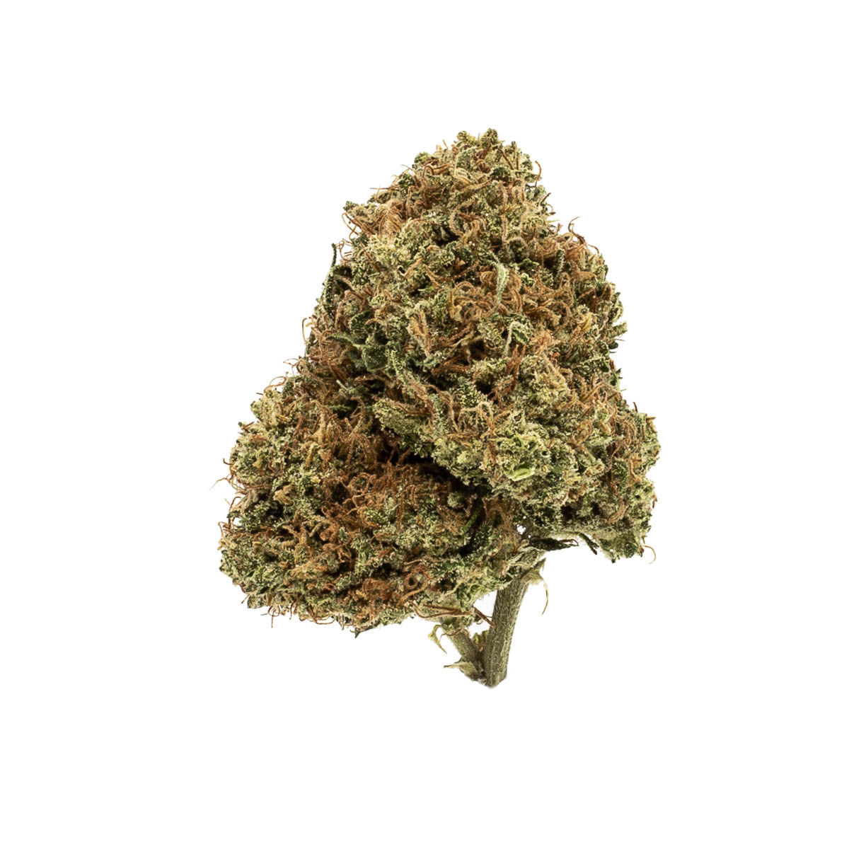 GREEN CRACK 26% (EXOTIC SATIVA)
