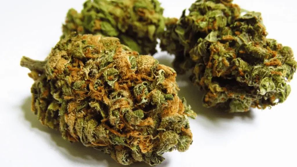 HAZY OG 20% (EXCLUSIVE SATIVA)