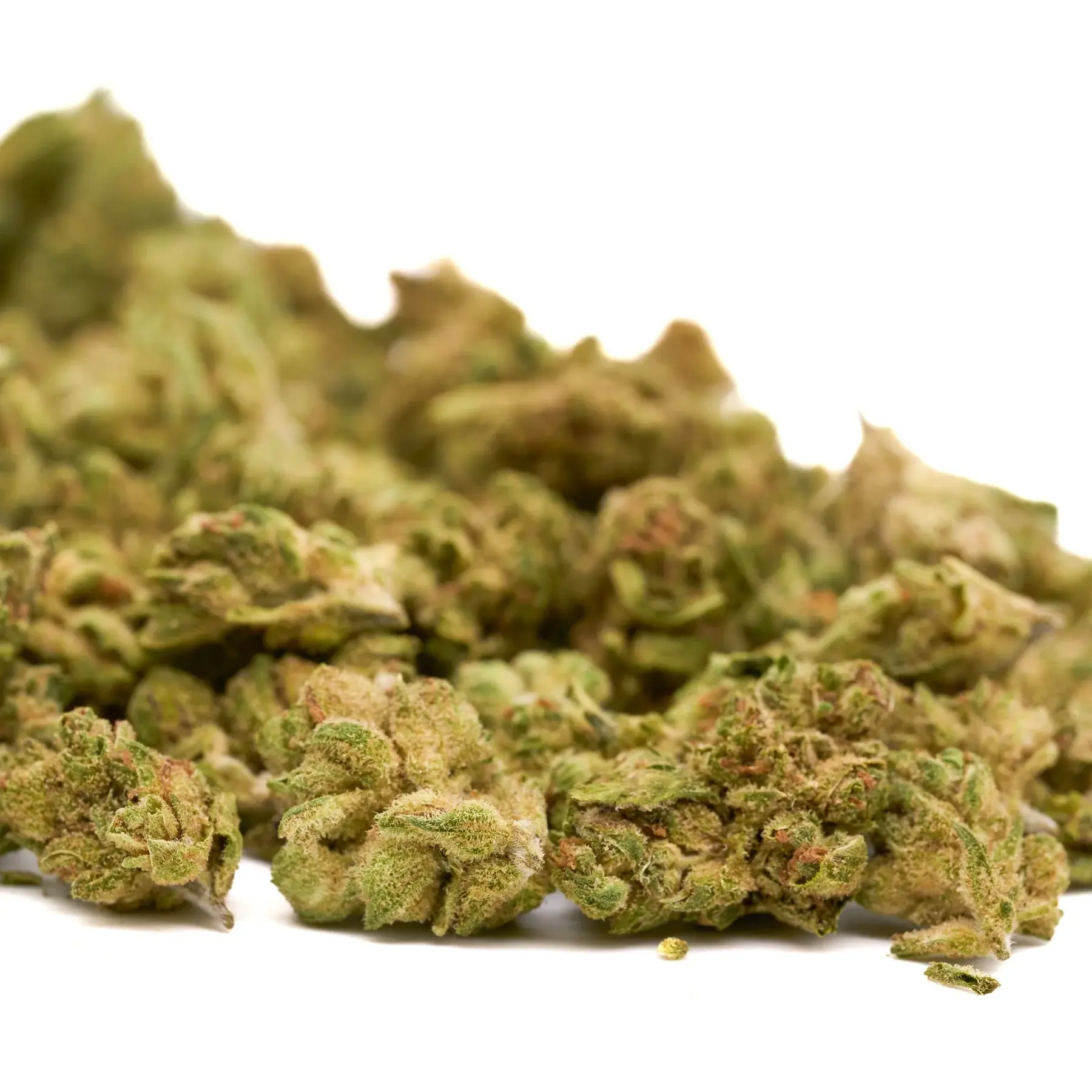 TAHOE OG SMALLS - OZ SPECIAL