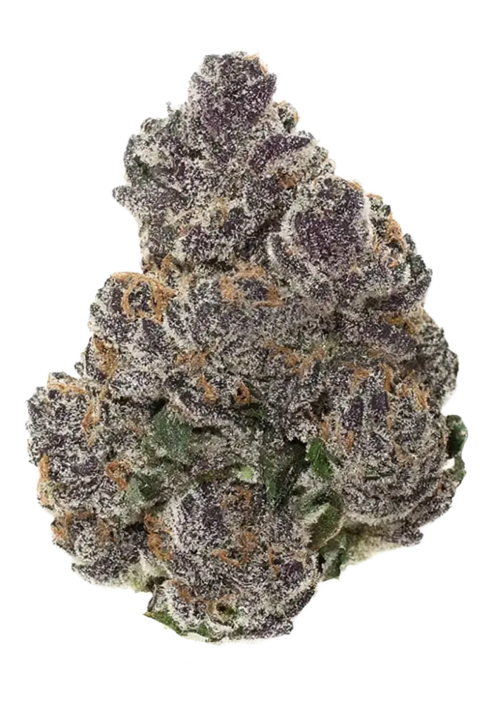 BLACK TRUFFLE 33.4% (SUPREME INDICA)