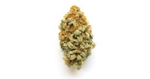 Push Pop (Hybrid)