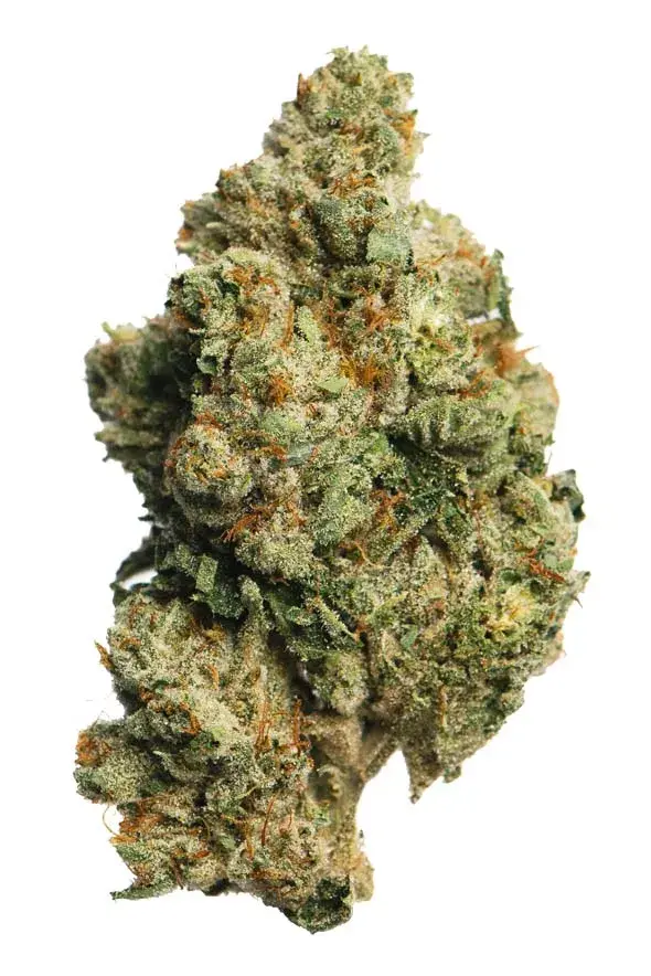 GHOST OG 29.8% (SUPREME INDICA)