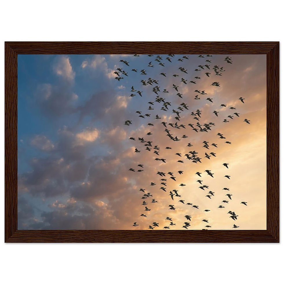 Thumbnail: Greenshank at the Sunset - Premium Matte Paper Wooden Framed Poster