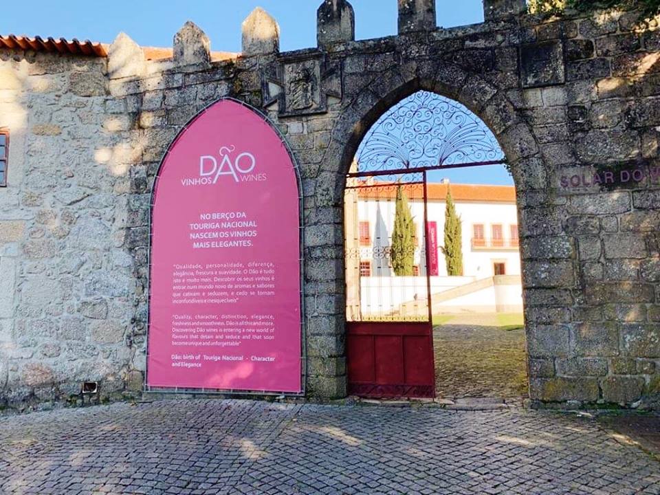 51866002_2099923440084693_44547488024897