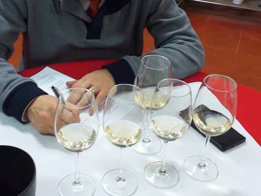 50936302_2078559882221049_62465854029168