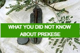 WHAT YOU DID NOT KNOW ABOUT PREKESE OR ARIDAN FRUIT