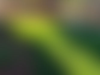 Artificial Lawns May Not Be a Great Idea