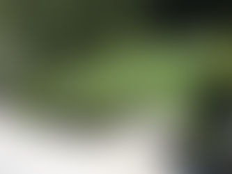 Spring: The Lawn and Its Care