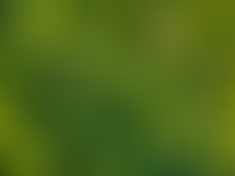 Afforestation, Reforestation, and Revegetation (ARR) | Market Compass | 2026