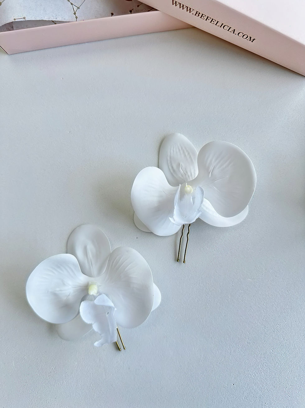 Miniatura: Orquídea Maxi