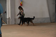 DSC_0150.JPG