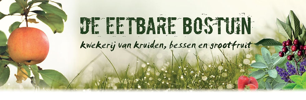 Bostuin%20webbanner_edited.jpg