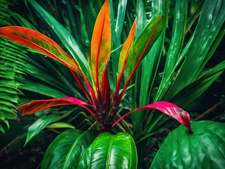 Discover Iquitos: Jungle Tours and Experiences Await You
