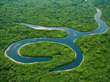 Uncover the Magic of Iquitos with Jungle Adventure Tours