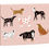 Thumbnail: Pack of 8 Dog Notecards