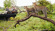 tour_img-205840-148_edited_edited.jpg