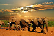 tour_img-205840-148_edited_edited.jpg