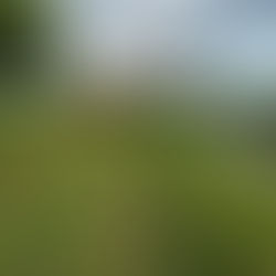 Secretaría del Campo desazolvar Cuenca del Lerma para evitar inundaciones en cultivos