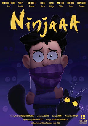 Affiche Ninjaaa.jpeg