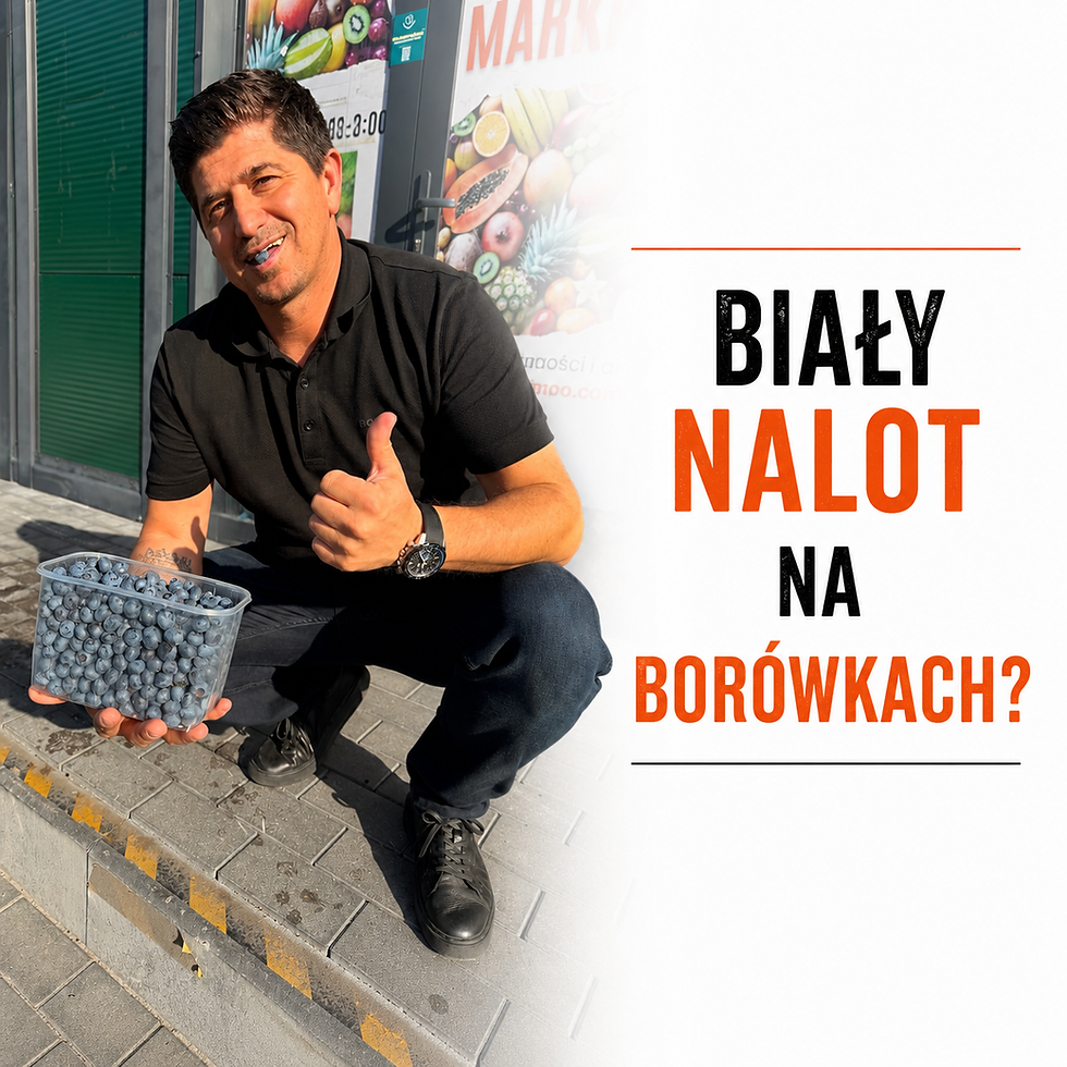 Biały nalot na borówkach – co oznacza i czy trzeba go zmywać?