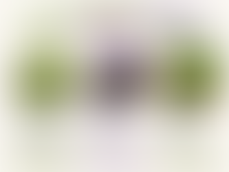 Szparagi groszkowe, zielone czy fioletowe? Poznaj różnice! 🌱