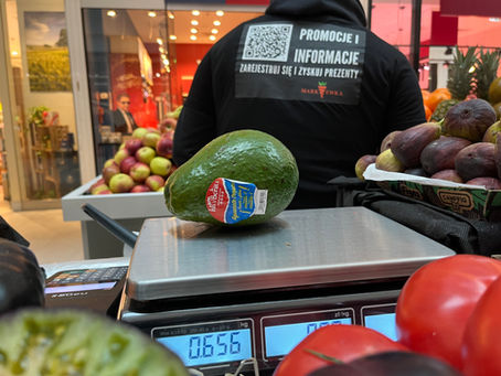 AWOKADO 650g GIGANTY JUŻ U NAS!