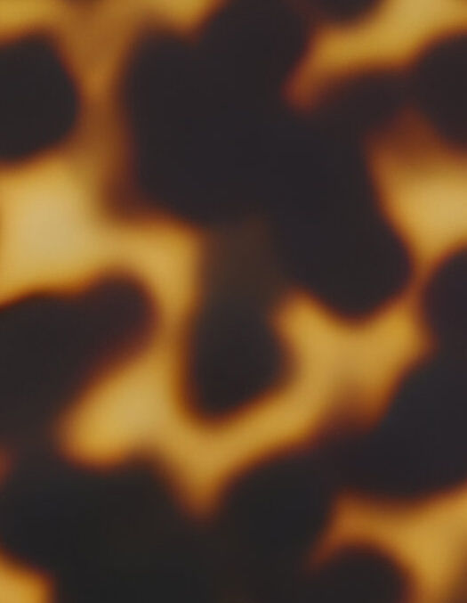 Option de couleur pour les lunettes en acétate Schnuchel fabriquées à la main