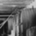 nvwj-about-03-750.jpeg
