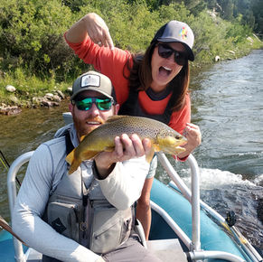 Native breeding brow trout Arkansas river colorado